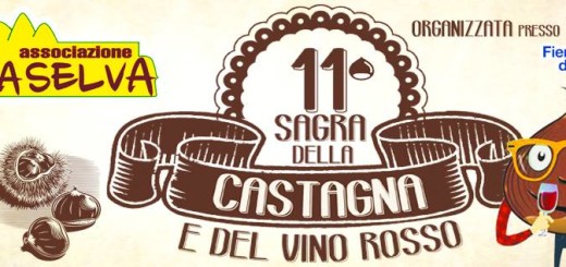 sagra-della-castagna-e-del-vino-rosso-immagine-5