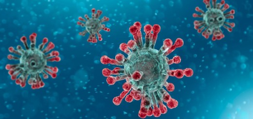 coronavirus immagine 3
