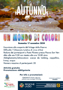 Locandina Un mondo di colori