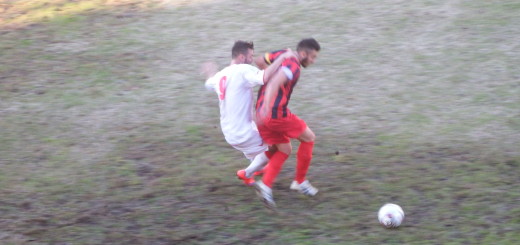 Foto n) contrasto Giglio vs Nicolao