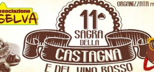 sagra-della-castagna-e-del-vino-rosso-immagine-3