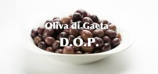 Oliva di Gaeta d.o.p. immagine 99