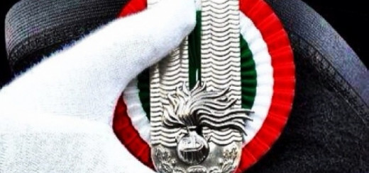 Arma dei Carabinieri logo immagine 5