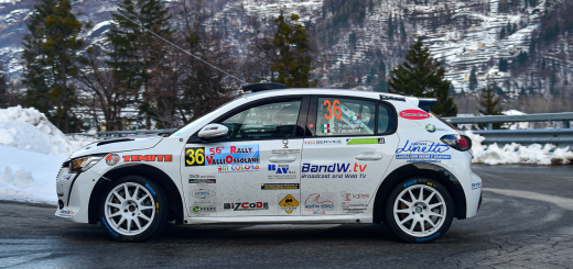 Peugeot208 rally immagine 5