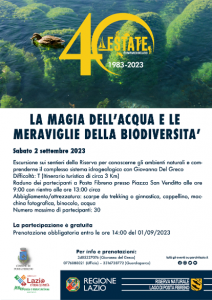 Locandina le magie dell'acqua