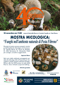 Mostra micologica bis