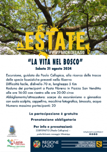 Locandina La vita nel bosco